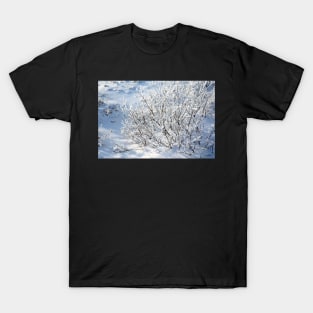 Hoarfrost on Arctic Willow T-Shirt